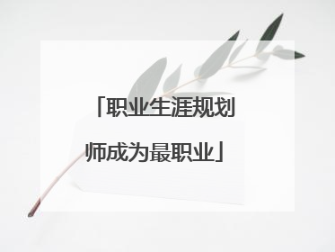 职业生涯规划师成为最职业