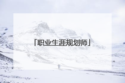 职业生涯规划师