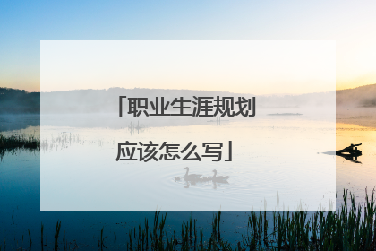 职业生涯规划应该怎么写