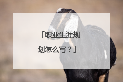 职业生涯规划怎么写？