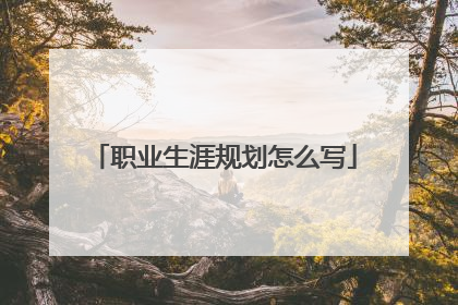 职业生涯规划怎么写