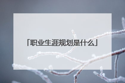 职业生涯规划是什么