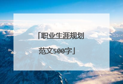 职业生涯规划范文500字