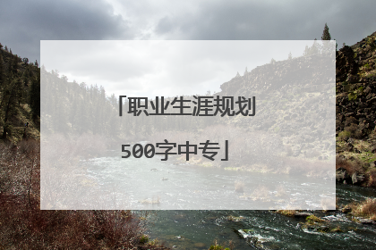 职业生涯规划500字中专