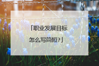 职业发展目标怎么写简短?