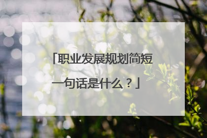 职业发展规划简短一句话是什么?
