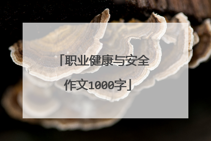 职业健康与安全作文1000字