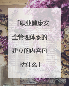 职业健康安全管理体系的建立的内容包括什么