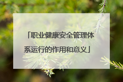 职业健康安全管理体系运行的作用和意义