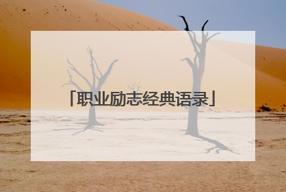职业励志经典语录