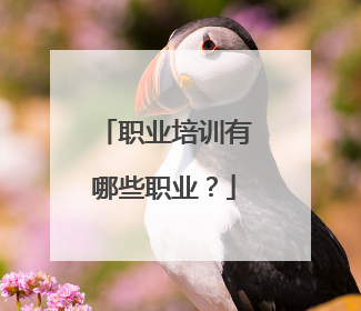 职业培训有哪些职业？