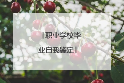 职业学校毕业自我鉴定