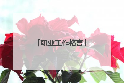 职业工作格言