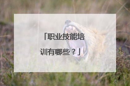 职业技能培训有哪些?