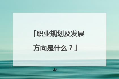 职业规划及发展方向是什么？