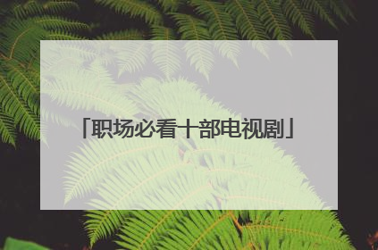 职场必看十部电视剧