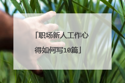 职场新人工作心得如何写10篇