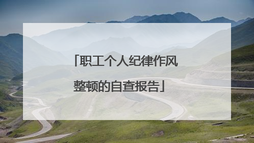 职工个人纪律作风整顿的自查报告