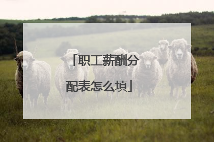 职工薪酬分配表怎么填