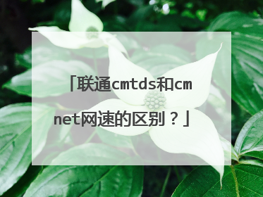 联通cmtds和cmnet网速的区别？
