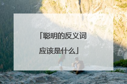 聪明的反义词应该是什么