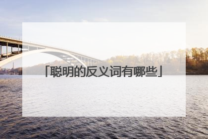 聪明的反义词有哪些