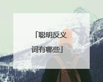 聪明反义词有哪些
