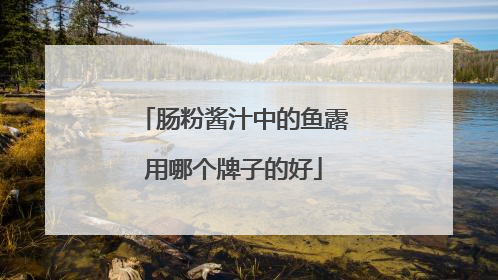 肠粉酱汁中的鱼露用哪个牌子的好