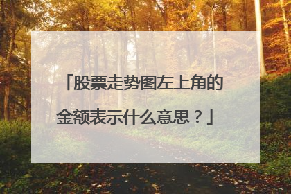 股票走势图左上角的金额表示什么意思?