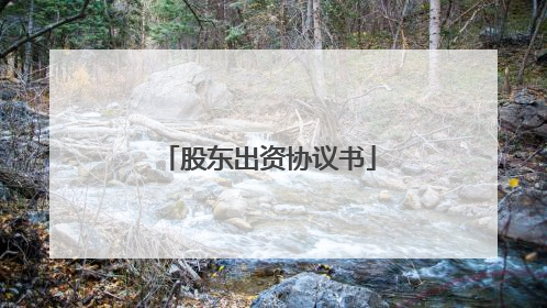 股东出资协议书