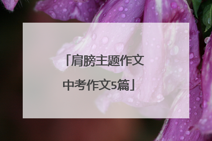 肩膀主题作文中考作文5篇