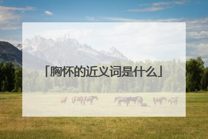 胸怀的近义词是什么