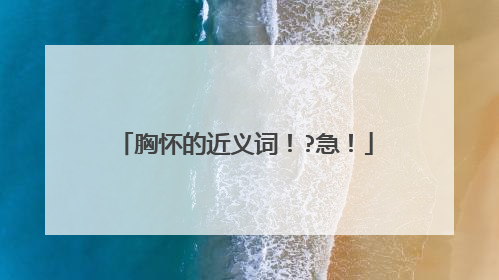 胸怀的近义词！?急！