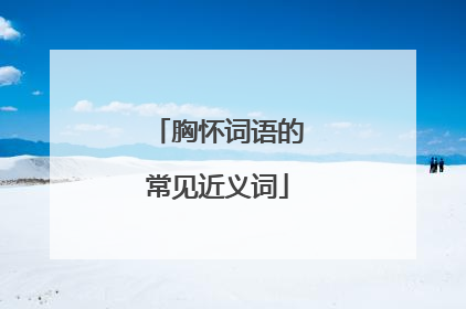 胸怀词语的常见近义词