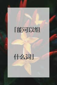 能可以组什么词