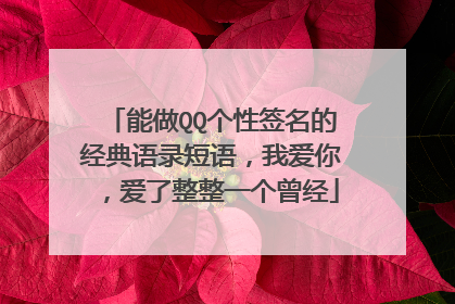 能做QQ个性签名的经典语录短语,我爱你,爱了整整一个曾经
