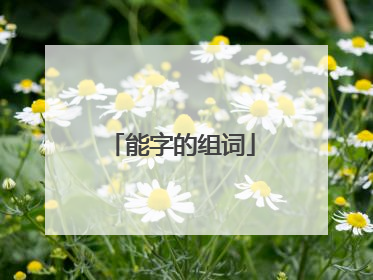 能字的组词