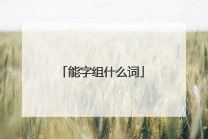 能字组什么词