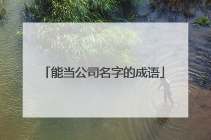 能当公司名字的成语