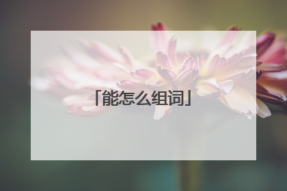 能怎么组词