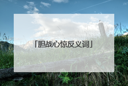 胆战心惊反义词