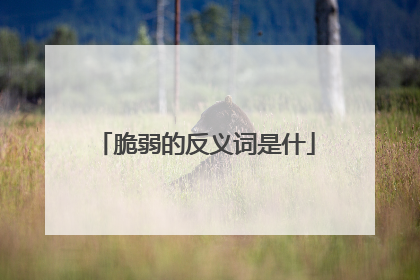 脆弱的反义词是什