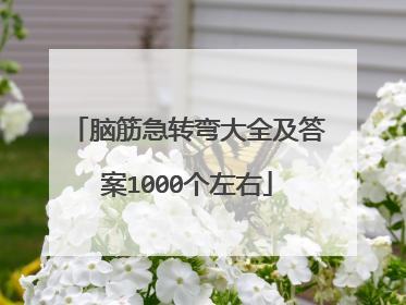 脑筋急转弯大全及答案1000个左右