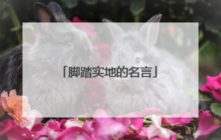 脚踏实地的名言