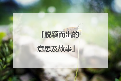 脱颖而出的意思及故事