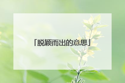 脱颖而出的意思