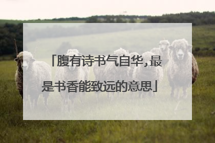 腹有诗书气自华,最是书香能致远的意思