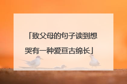 致父母的句子读到想哭有一种爱亘古绵长