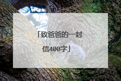 致爸爸的一封信400字