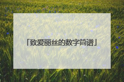 致爱丽丝的数字简谱